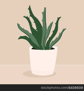 Aloe Vera home Plant with Thick Leaves as Medical Herb Vector Illustration.. Aloe Vera home Plant with Thick Leaves as Medical Herb Vector Illustration