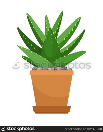 Aloe vera house plant in flower pot vector icon on white background. Aloe vera in flower pot