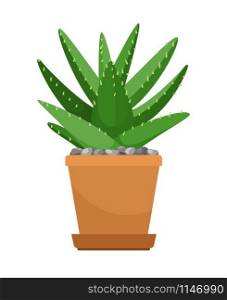 Aloe vera house plant in flower pot vector icon on white background. Aloe vera in flower pot