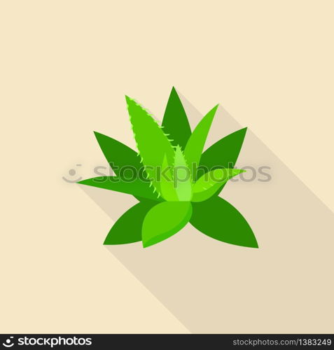 Aloe vera icon. Flat illustration of aloe vera vector icon for web design. Aloe vera icon, flat style
