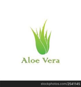 Aloe vera icon logo vector design template