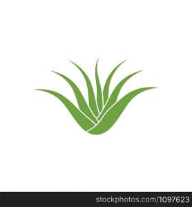 Aloe vera icon Vector Illustration design Logo template