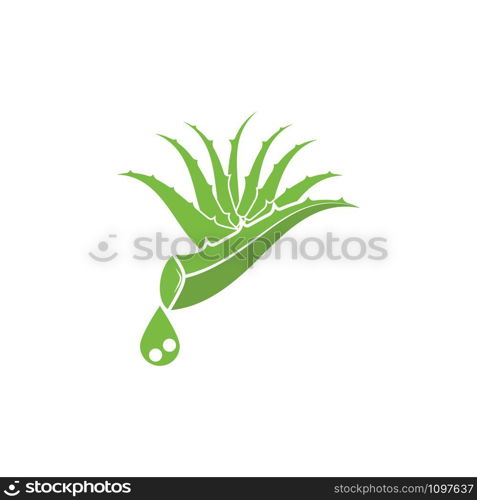 Aloe vera icon Vector Illustration design Logo template