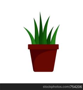 Aloe vera in pot icon. Flat illustration of aloe vera in pot vector icon for web isolated on white. Aloe vera in pot icon, flat style