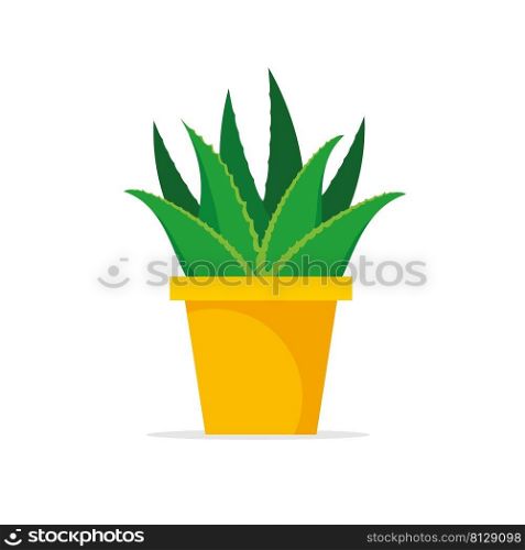 Aloe vera in pot isolated on white background. Houseplant for interior. Vector stock