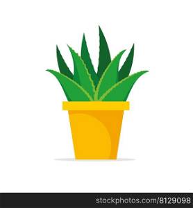 Aloe vera in pot isolated on white background. Houseplant for interior. Vector stock