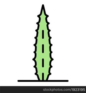 Aloe vera leaf icon. Outline aloe vera leaf vector icon color flat isolated on white. Aloe vera leaf icon color outline vector