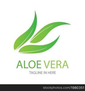 Aloe vera logo vector ilustration design template
