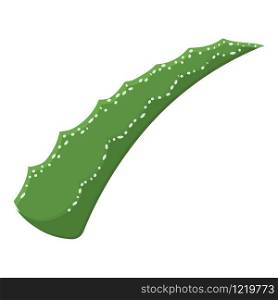 Aloe vera medicinal plant cut leaf isolated on white background. Cartoon style. Vector illustration for any design.