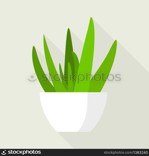 Aloe vera office pot icon. Flat illustration of aloe vera office pot vector icon for web design. Aloe vera office pot icon, flat style