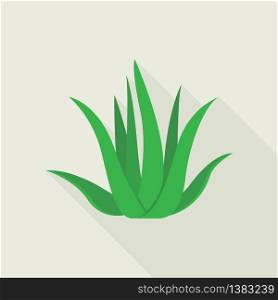 Aloe vera plant icon. Flat illustration of aloe vera plant vector icon for web design. Aloe vera plant icon, flat style