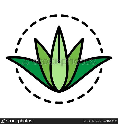 Aloe vera plant icon. Outline aloe vera plant vector icon color flat isolated on white. Aloe vera plant icon color outline vector