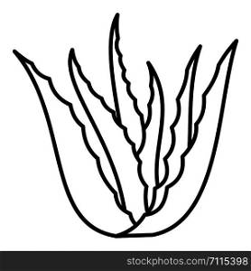 Aloe vera plant icon. Outline illustration of aloe vera plant vector icon for web design isolated on white background. Aloe vera plant icon, outline style