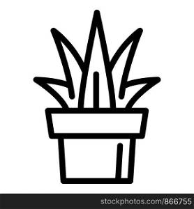 Aloe vera plant pot icon. Outline aloe vera plant pot vector icon for web design isolated on white background. Aloe vera plant pot icon, outline style
