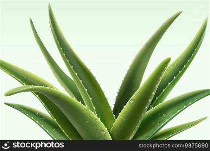 Aloe Vera plant with dew in 3d illustration. Aloe Vera plant