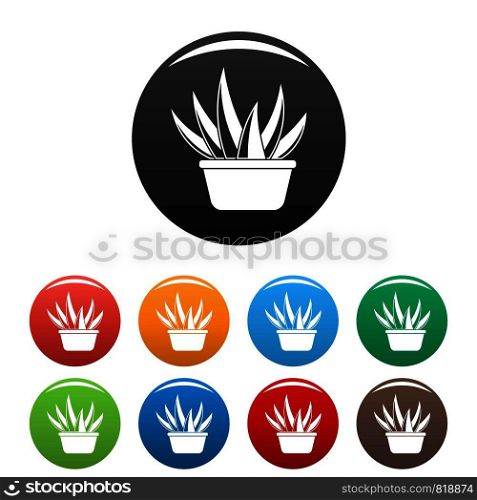 Aloe vera pot icons set 9 color vector isolated on white for any design. Aloe vera pot icons set color