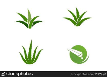 Aloe vera vector illustration design icon template