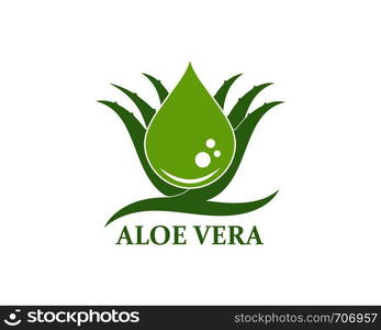 aloevera logo icon vector illustration design template