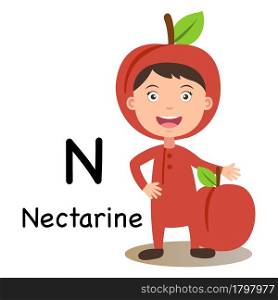 Alphabet Letter N-nectarine,vector illustration