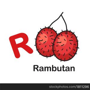 Alphabet Letter R-Rambutan vector illustration