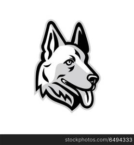 Alsatian Dog Mascot. Mascot icon illustration of head of a German Shepherd or Alsatian wolf dog viewed from side on isolated background in retro style.. Alsatian Dog Mascot