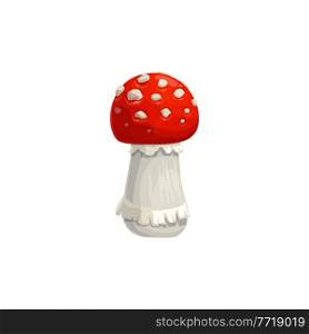 Amanita mushroom, autumn muscaria, vector isolated icon. Fall nature and Thanksgiving holiday harvest symbol of amanita mushroom or fly agaric, poisonous boletus fungi. Amanita mushroom, autumn muscaria, isolated icon