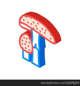amanita mushroom isometric icon vector. amanita mushroom sign. isolated symbol illustration. amanita mushroom isometric icon vector illustration