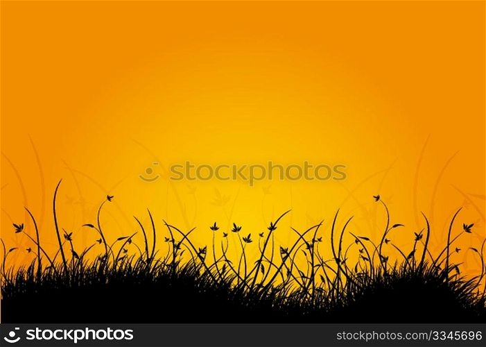 Amazing natural sunrise landscape with grass silhouette