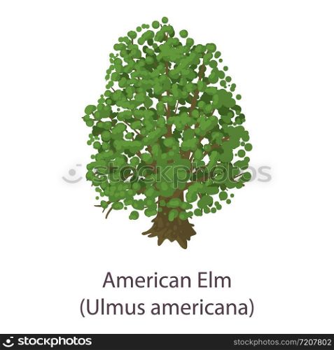 American elm icon. Flat illustration of american elm vector icon for web. American elm icon, flat style