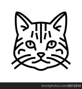 american shorthair cat cute pet line icon vector. american shorthair cat cute pet sign. isolated contour symbol black illustration. american shorthair cat cute pet line icon vector illustration