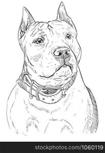 American Staffordshire Terrier vector hand drawing illustration in black color isolated on white background