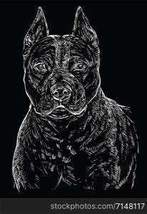 American Staffordshire Terrier vector hand drawing illustration in white color isolated on black background