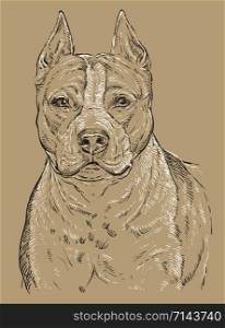 American Staffordshire Terrier vector hand drawing portrait in black and white colors. Vector illustration isolated on beige background