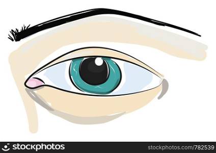 An close up illustration of a blue eye and an eye brow, vector, color drawing or illustration.