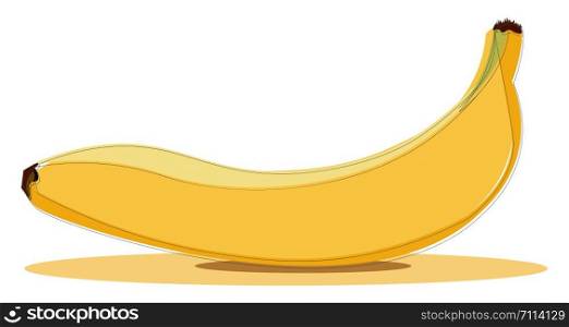 An illustration of a yellow banana, vector, color drawing or illustration.