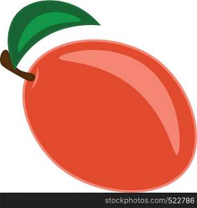 An image of a huge orange mango vector color drawing or illustration