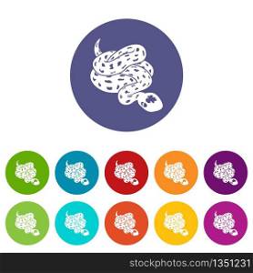 Anaconda snake icons color set vector for any web design on white background. Anaconda snake icons set vector color