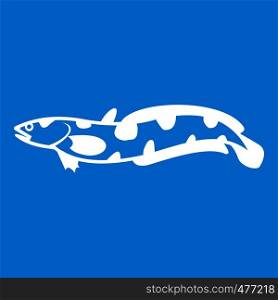 Anarhichas fish icon white isolated on blue background vector illustration. Anarhichas fish icon white
