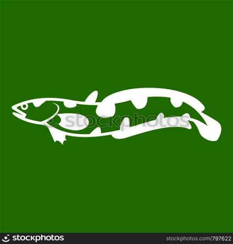 Anarhichas fish icon white isolated on green background. Vector illustration. Anarhichas fish icon green