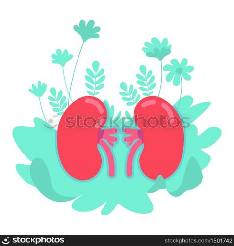 Anatomical kidney flat concept vector illustration. Aorta and cortex diagnosis. Blood circulation. Physiology 2D cartoon object for web design. Healthy human internal organ creative idea. Anatomical kidney flat concept vector illustration
