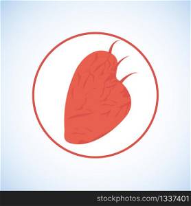 Anatomical Shape Human Heart in Red Circle Flat Vector Icon Isolated on White Background. Cardiology Medical Center or Hospital Logotype, Blood and Organs Donation, Saving Life Transplantation Symbol