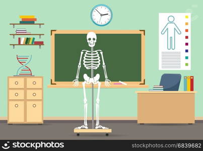 Anatomy classroom interior. Anatomy classroom interior vector illustration. Empty class room with human skeleton for biology school literature lesson
