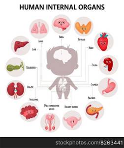 Anatomy human body. Cute infographics with visual scheme internal male cartoon organs characters, their names and locations. Vector illustration. Educational medical poster in cartoon style