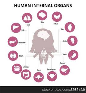 Anatomy human body. Infographic with girl and visual structure internal female organs, icons, names and locations. Vector illustration. Medical poster, biological concept, kids collection