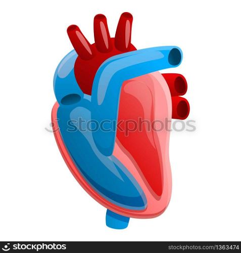 Anatomy human heart icon. Cartoon of anatomy human heart vector icon for web design isolated on white background. Anatomy human heart icon, cartoon style