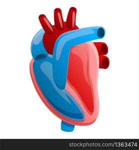 Anatomy human heart icon. Cartoon of anatomy human heart vector icon for web design isolated on white background. Anatomy human heart icon, cartoon style