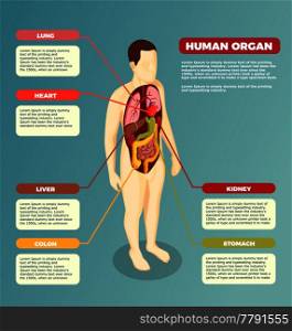 Anatomy of human body with internal organs medical poster with describing text information isometric vector illustration. Human Organs Anatomical Poster