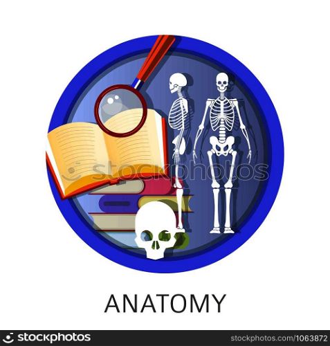 Anatomy of human, school classes, discipline studies at university vector. Skeletal body of man with bones and skull, books with information and explanation. Magnifying glass research symbol. Anatomy of human, school classes, discipline at university
