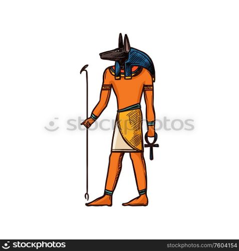 Ancient Egypt Anubis isolated God of death. Vector sketch of deity with canine head, Egyptian canid. Anubis ancient Egypt God of death isolated canid