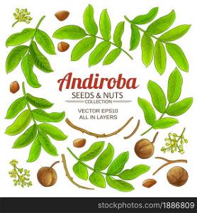 andiroba branches elements vector set on white background. andiroba elements vector set on white background